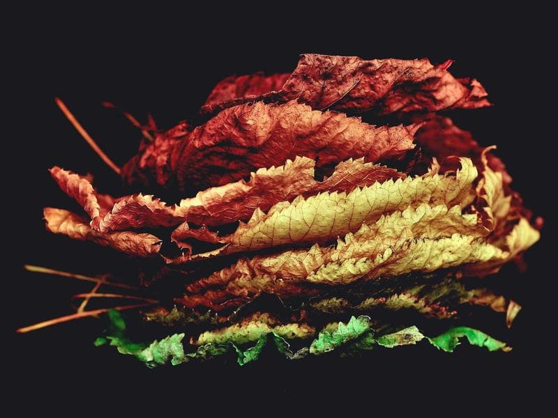 e2e-1776467113367-n8tqrn refund