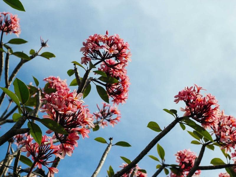 e2e-1776467774368-1byu7v refund