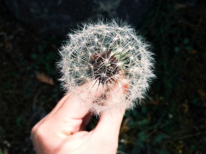 e2e-1776536189328-oo3377 idempotent booking