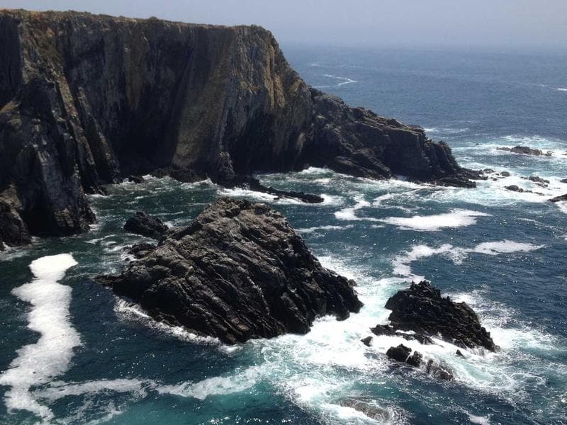 e2e-1776536202436-3ducey idempotent booking