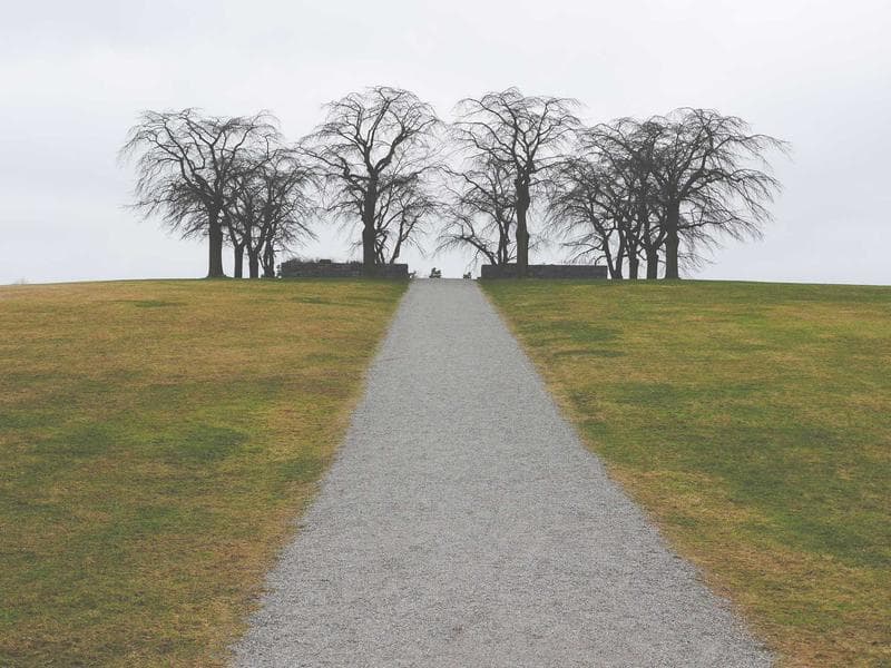 e2e-1776724564643-cj0ukt high-rating